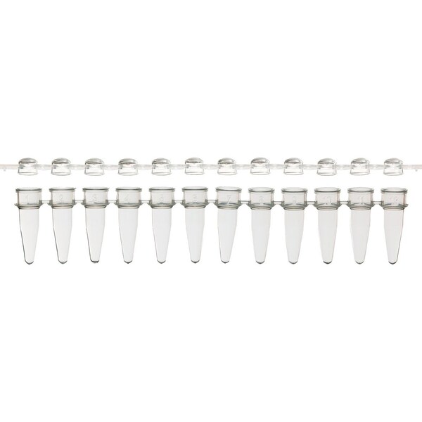 Scientific Specialties UltraFlux 12 Strip Tubes w/Unattached Caps, 0.2ml, Natural, 80/PK 145580 - main